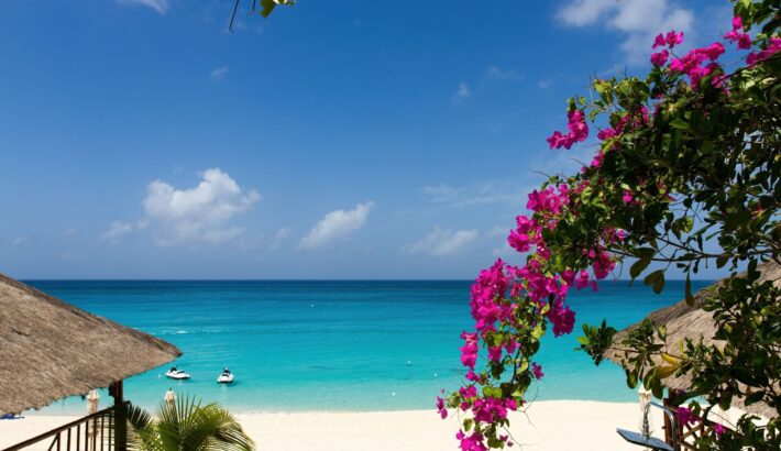Start Your Caribbean Yachting Journey at Palapa Marina